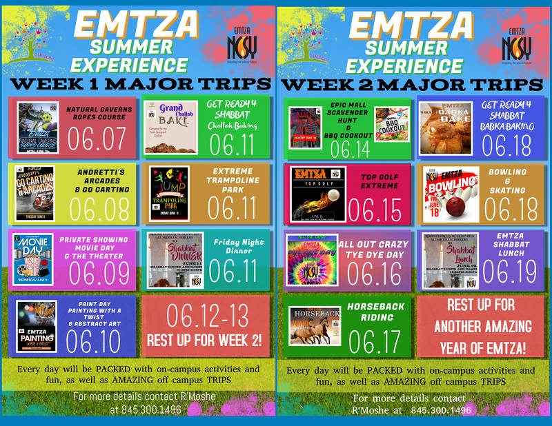 Banner Image for EMTZA Summer Experience